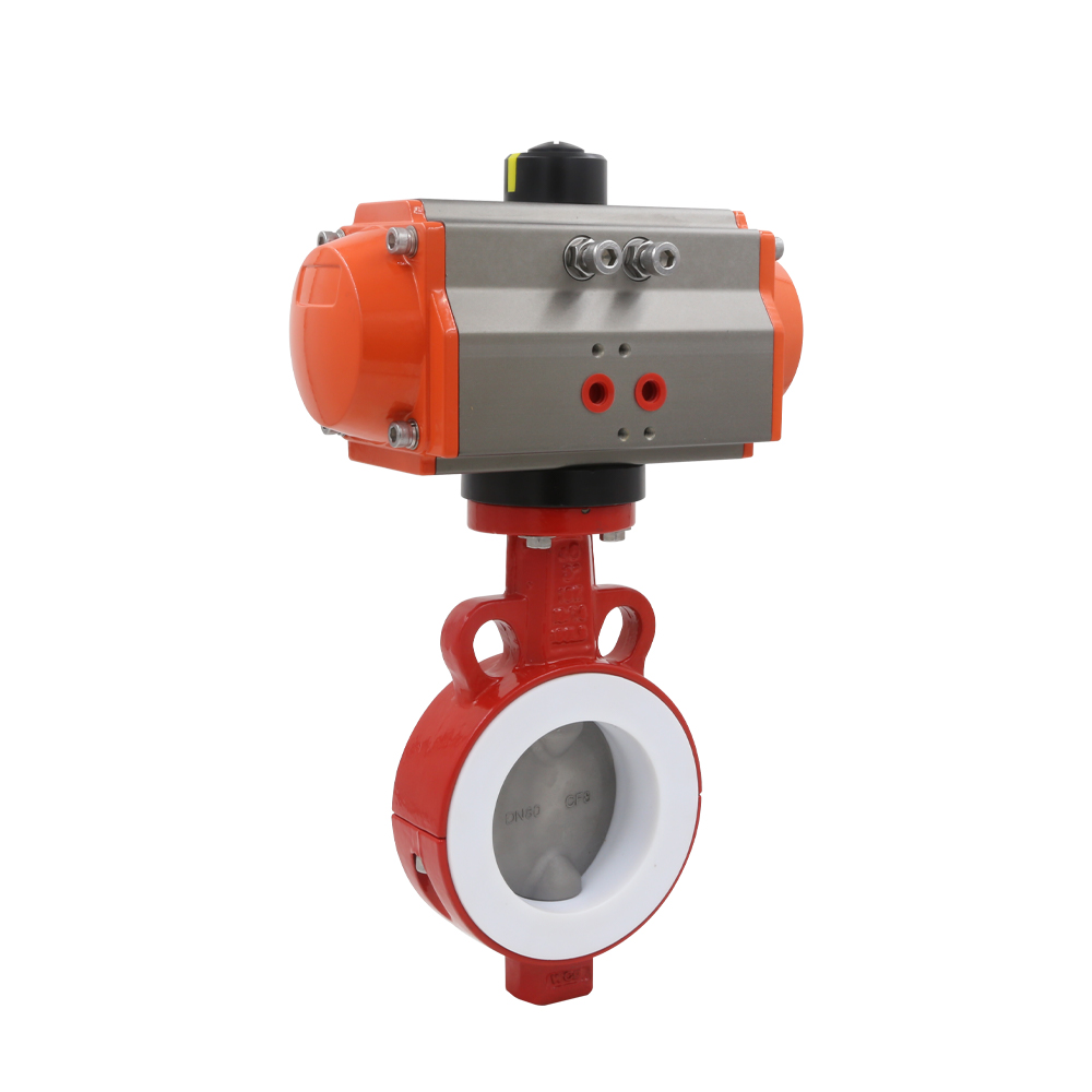 Pneumatic Actuator