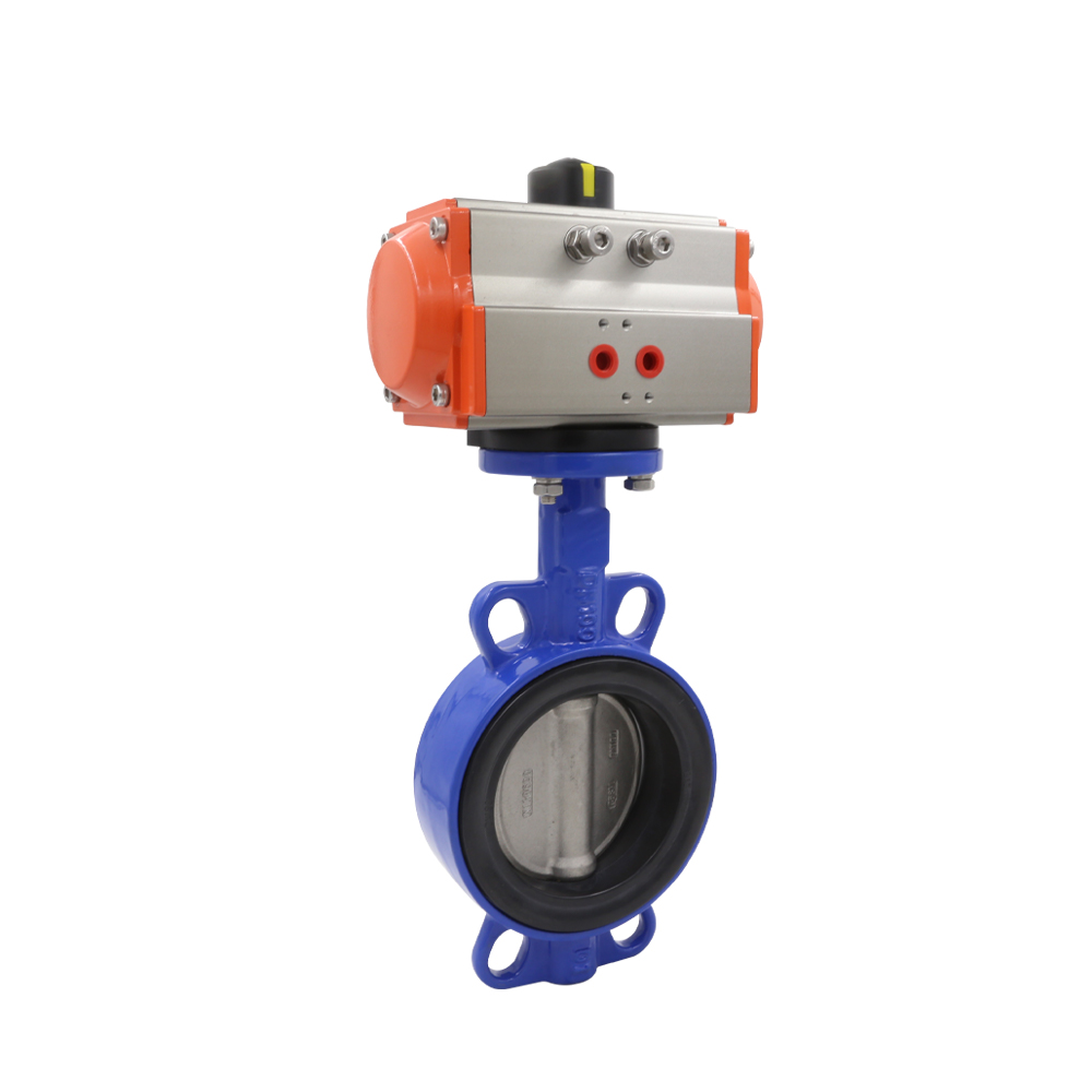 Pneumatic Actuator