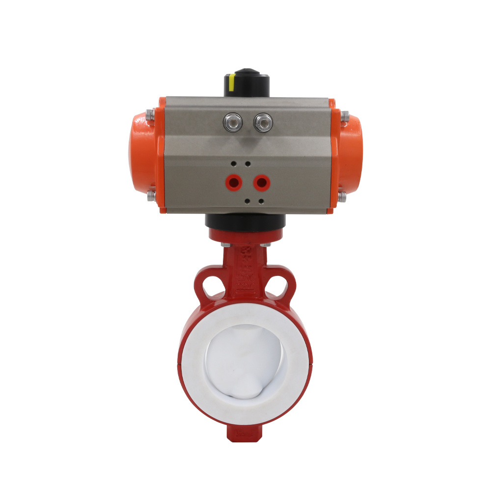 Pneumatic Actuator